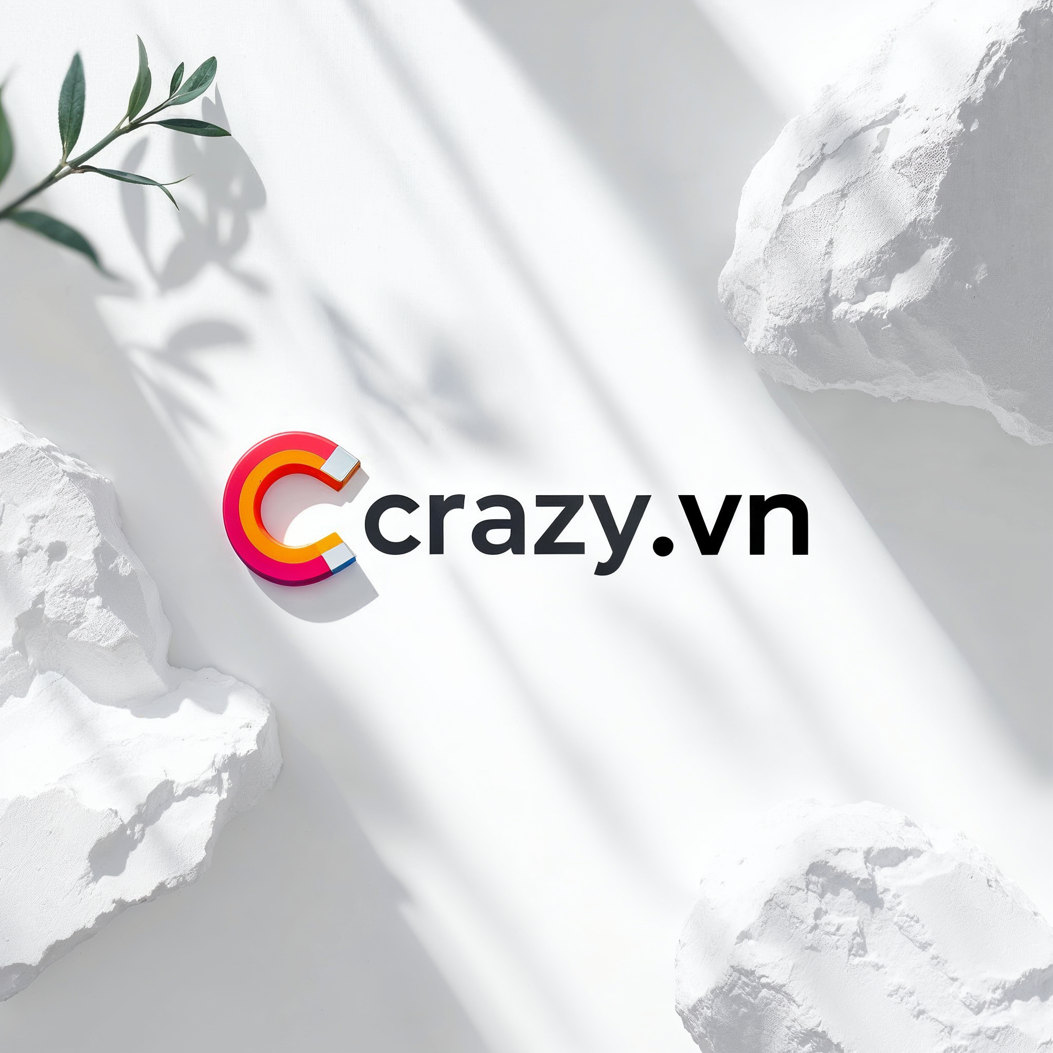 Crazy.vn - Hỗ trợ nhà sáng tạo Việt